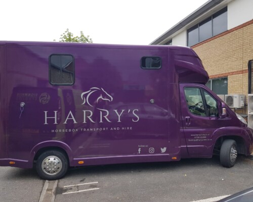 Horsebox | Vinyl Graphics 3004243522