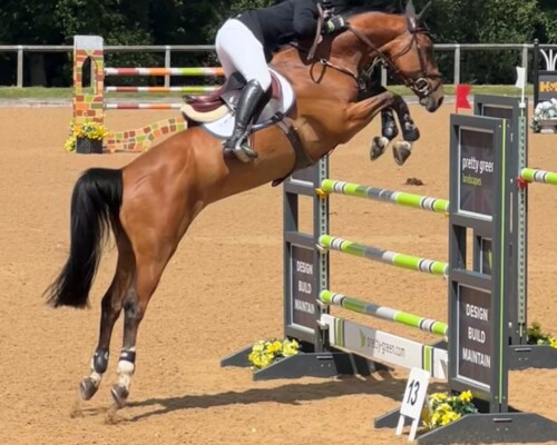 Custom-Printed Horse Jump Panels – Built for Performance, Designed to Impress. Horse jump panel with custom company logo and branding in a competition setting